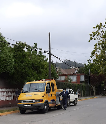 Grúas Cobra Concepción