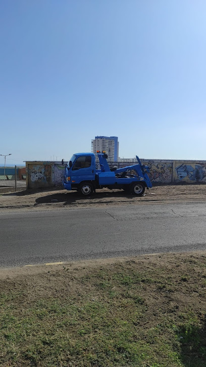 Grúas Iquique Sayoju