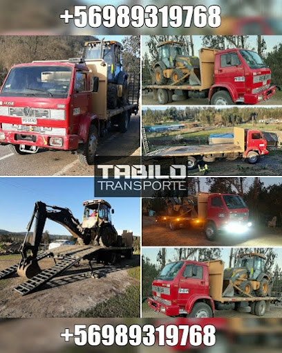 Tabilo Servicio De Grúas Y Mudanza