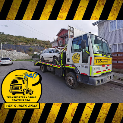 Transportes Y Grúas Sanyour Spa